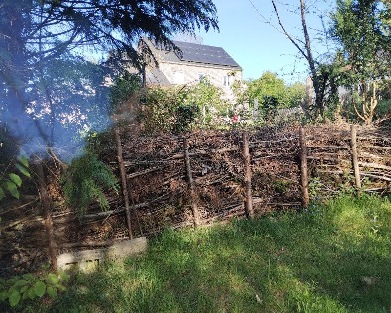 Milieux ligneux